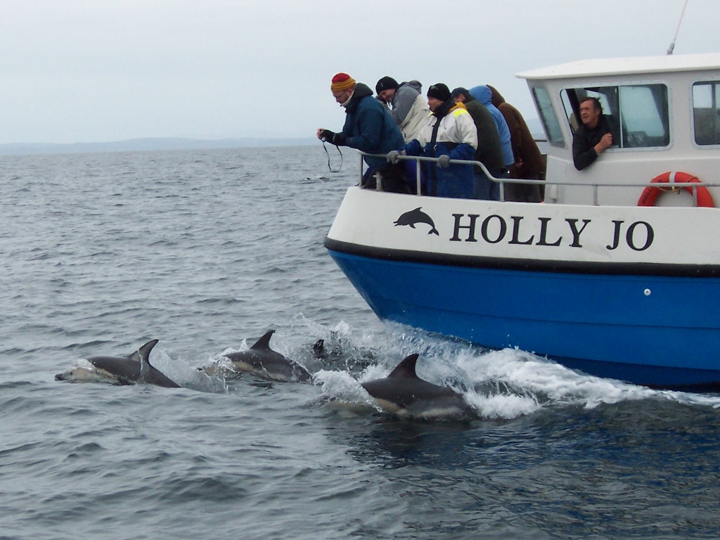 Boat Holly Jo Daniel Lettice Dolphin Watch